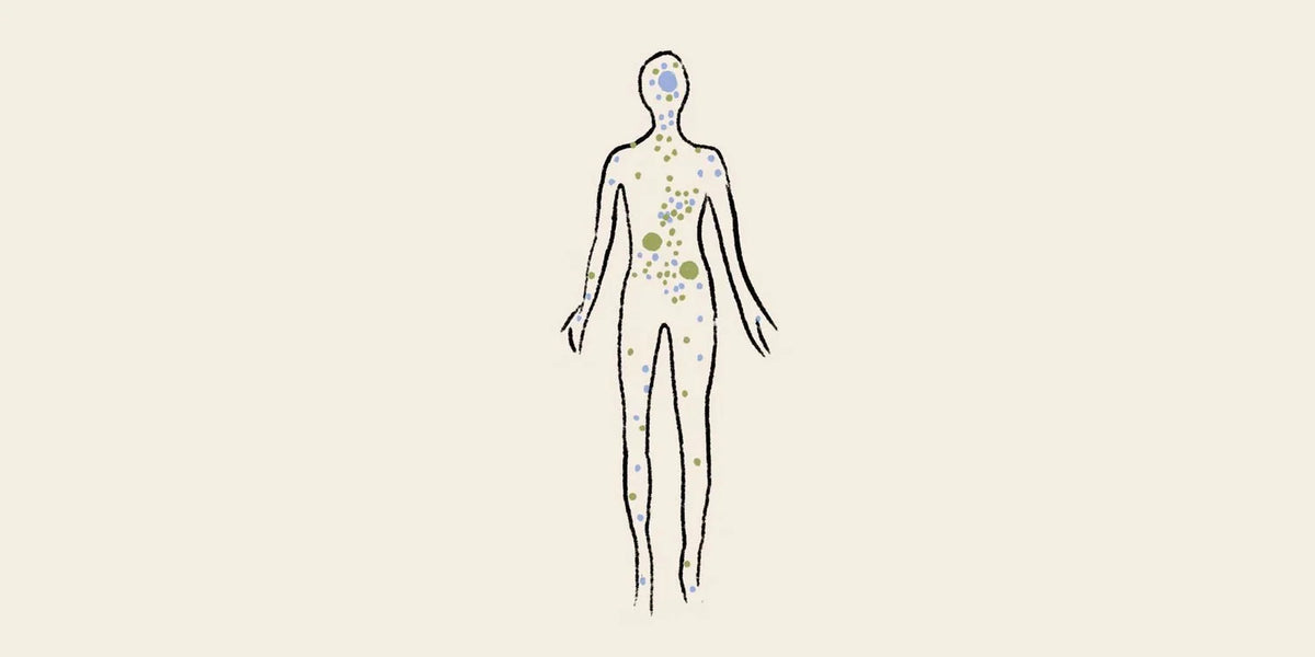 Le Systèm e Endocannabinoïde