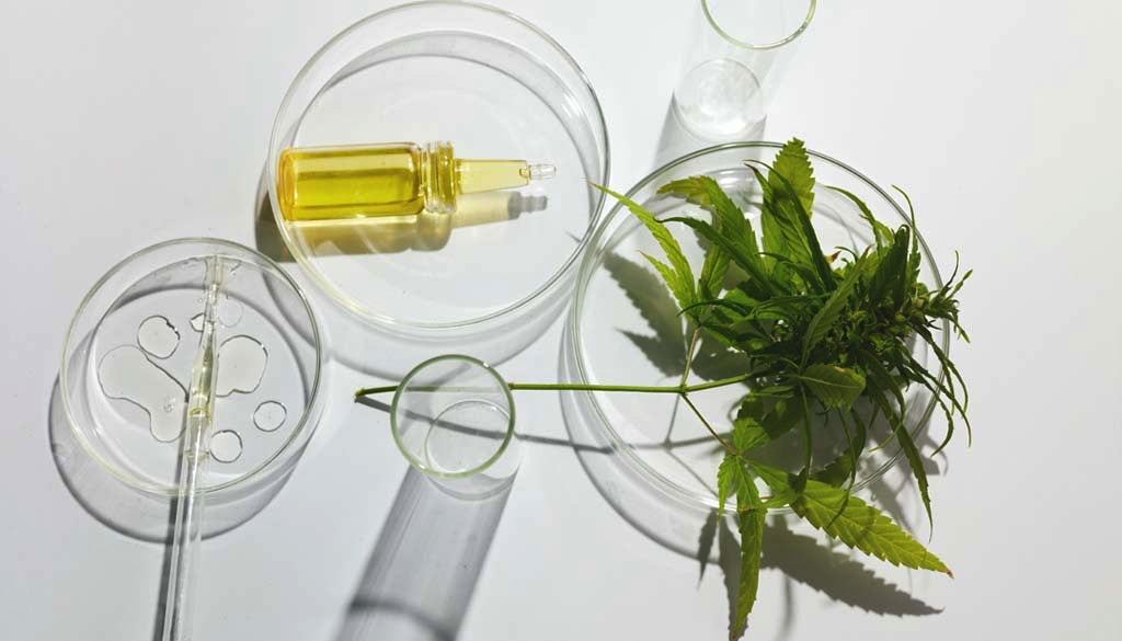Les effets de l'huile de CBD